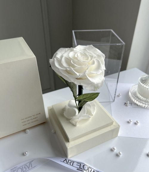 Ewige_weiße_Herz_Rose_im_weißen_Acryltower_5