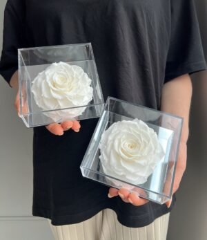 Ewige_weiße_Rose_im_Acrylrahmen_4