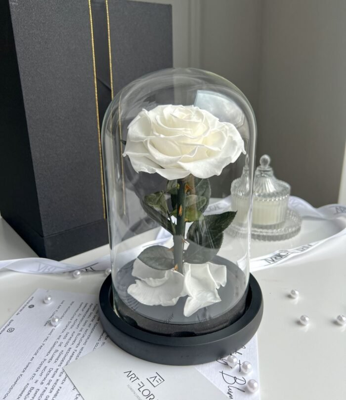 Ewige_weiße_Rose_im_Glas_1