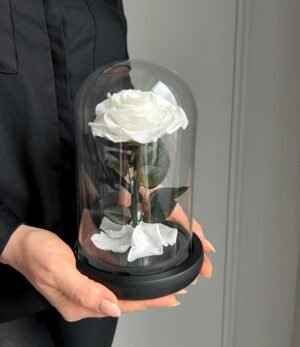 Ewige_weiße_Rose_im_Glas_2