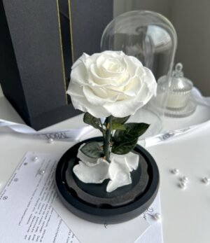 Ewige_weiße_Rose_im_Glas_3
