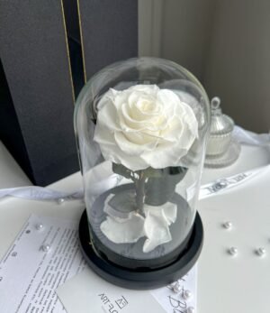 Ewige_weiße_Rose_im_Glas_4
