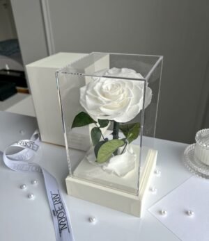Ewige_weiße_Rose_im_weißen_Acryltower_3