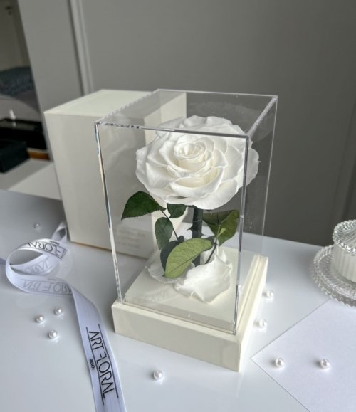 Ewige_weiße_Rose_im_weißen_Acryltower_3
