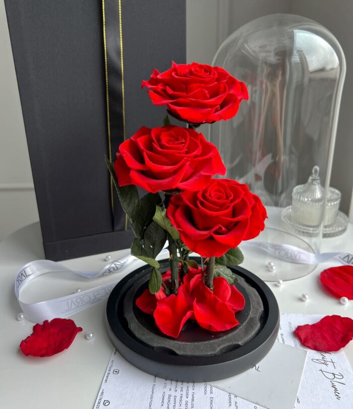 Premium_ewige_rote_Rosen_im_Glas_3