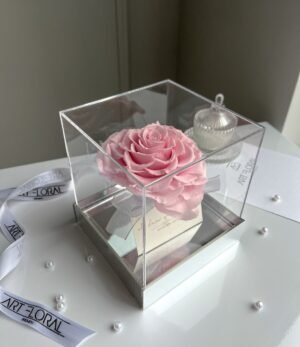 Infinity Herz-Rose