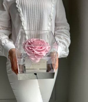 Rosa_Infinity_Herz_Rose_im_Acrylwürfel_2