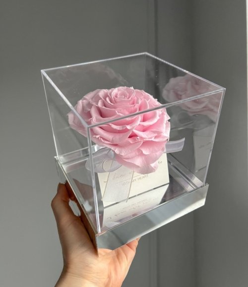 Rosa_Infinity_Herz_Rose_im_Acrylwürfel_3