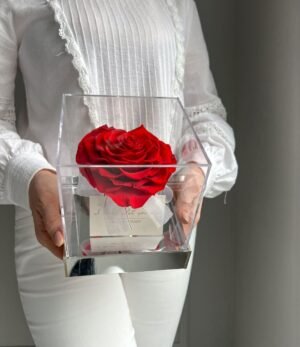 Rote_Infinity_Herz_Rose_im_Acrylwürfel_2