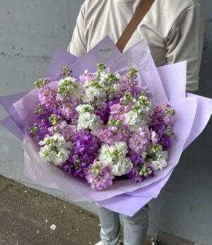 Blumenstrauß_Levkojen_1