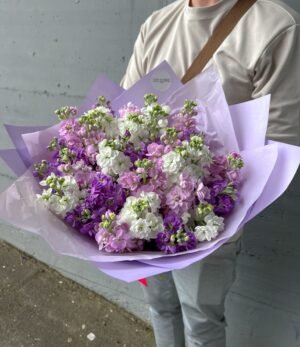 Blumenstrauß_Levkojen_2