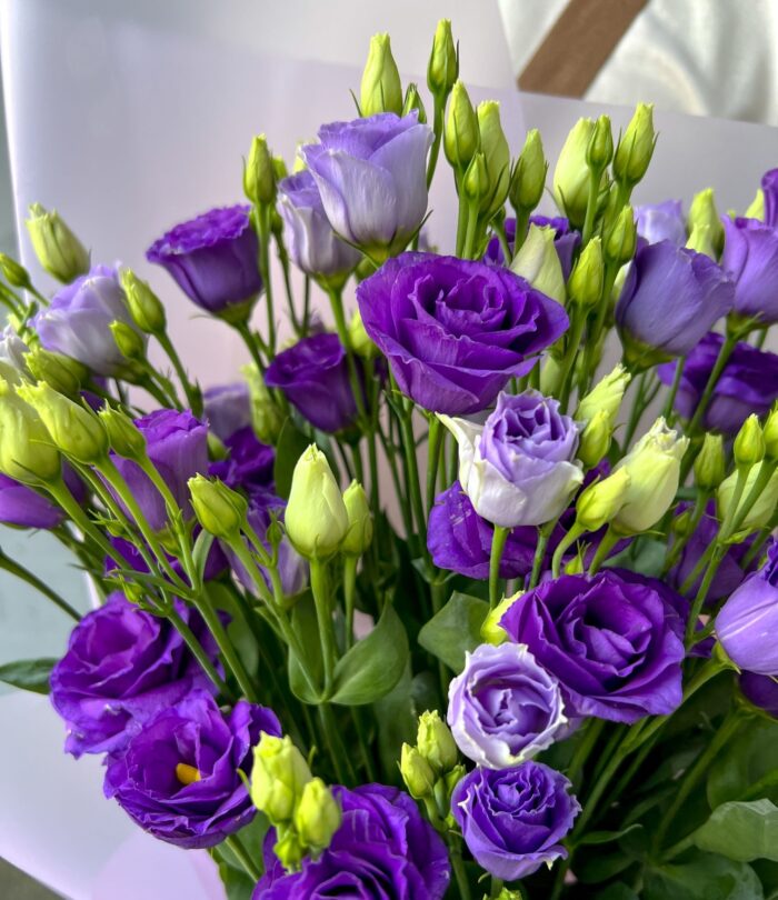 Blumenstrauß_Lila_Lisianthus_3