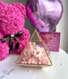 Blumen_Terrarium_Rosenbär_Pink_M_Set_2