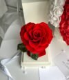 Rose_im_Acryltower_Rosenbär_Set_Rot_2