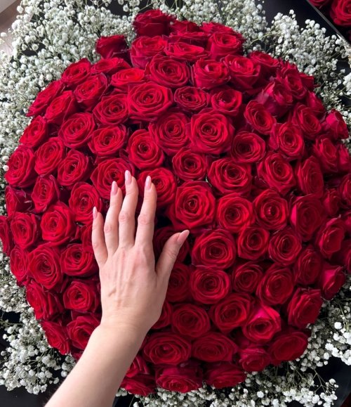 Blumenstrauß_100_Rosen_und_Schleierkraut_2