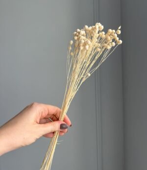 Trockenblumen Leinen Kügelchen gebleicht
