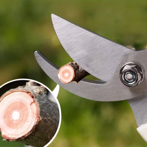 Hand-Gartenschere für präzises Schneiden von Pflanzen