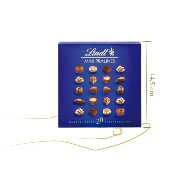 Lindt Mini Pralinés 100 g – perfekte Ergänzung zum Blumen-Geschenk