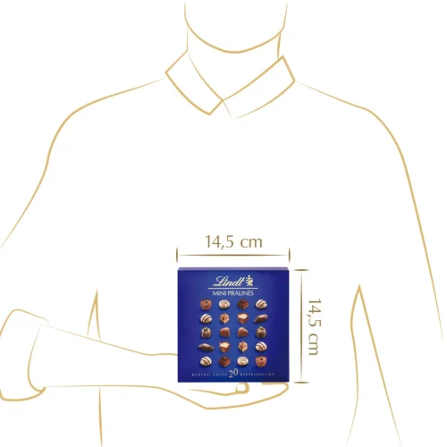 Lindt Mini Pralinés 100 g – feine Pralinen für besondere Anlässe