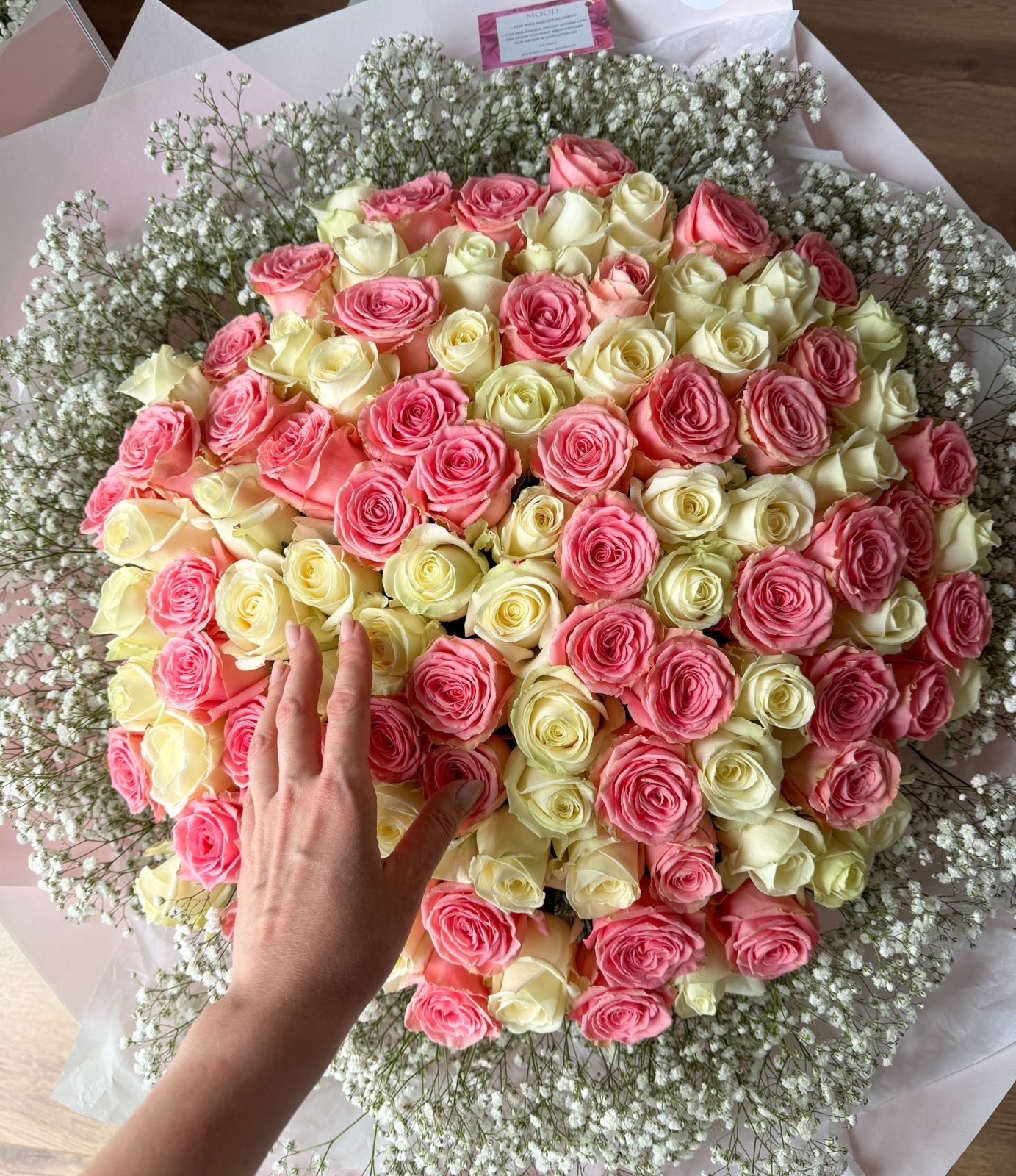 Blumenstrauß „100 rosa & weiße Rosen mit Schleierkraut“