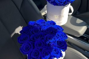 Infinity Rosenbox